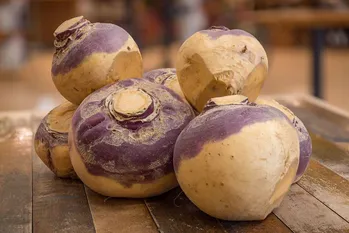 Rutabaga: fra gavnlige egenskaber til opskrifter - alt hvad du behøver at vide om rodfrugten